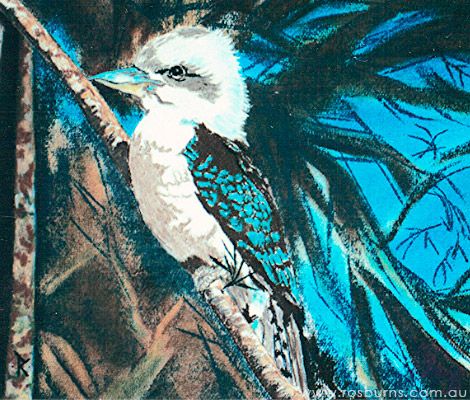 Kookaburra