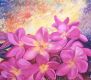 Frangipani
