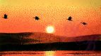 Sunset 2
