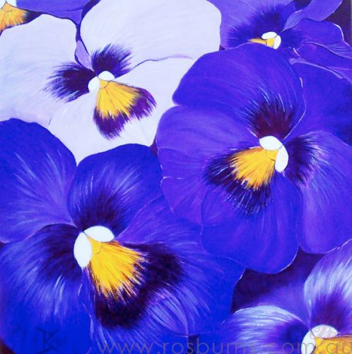 Pansies